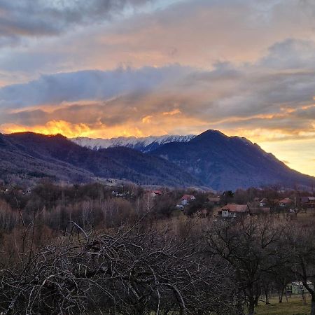 Bran Hill Villa Bagian luar foto