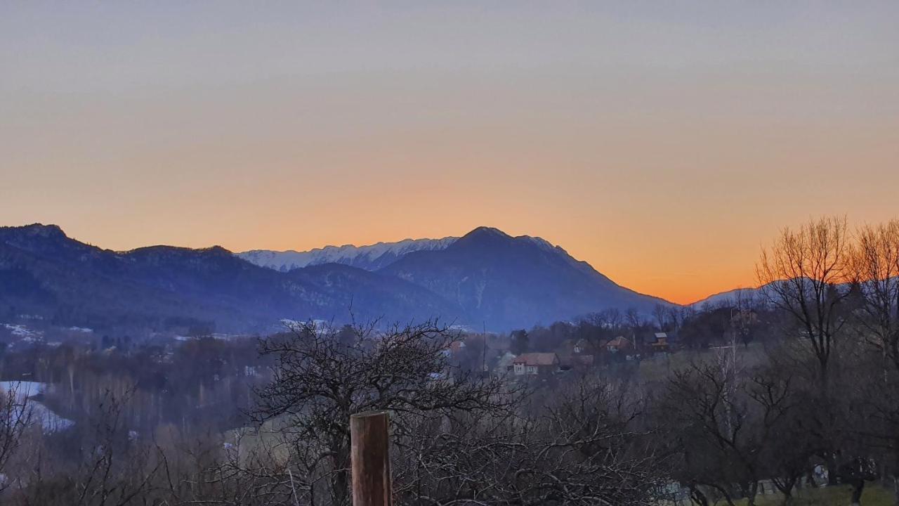 Bran Hill Villa Bagian luar foto