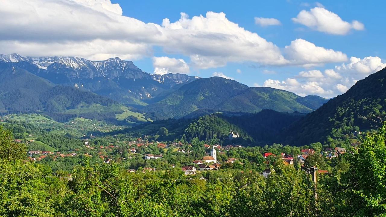 Bran Hill Villa Bagian luar foto